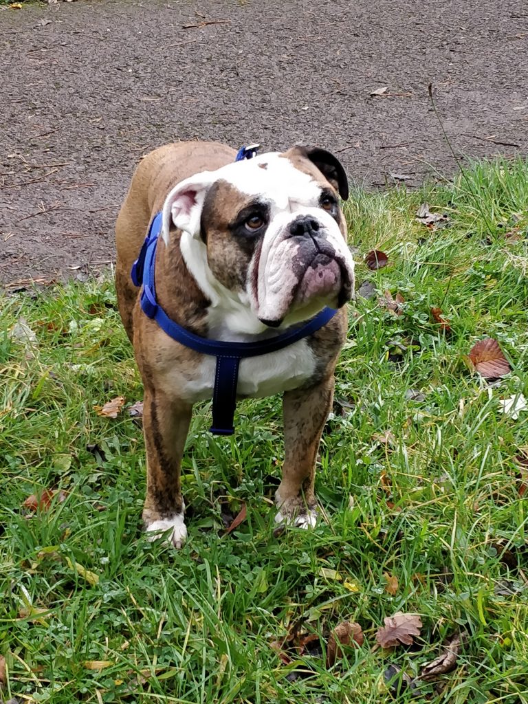 A little bit about me and why I love crochet